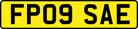 FP09SAE