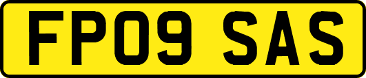 FP09SAS