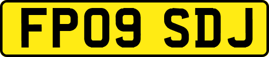 FP09SDJ