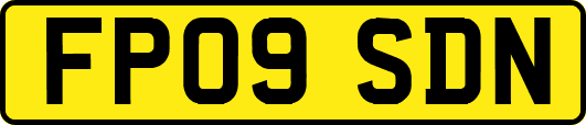 FP09SDN