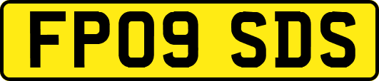 FP09SDS