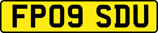 FP09SDU