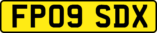 FP09SDX