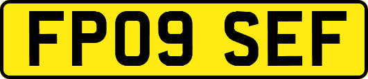 FP09SEF