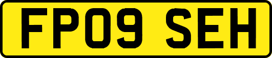 FP09SEH