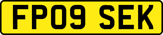 FP09SEK