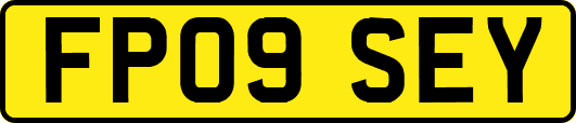 FP09SEY