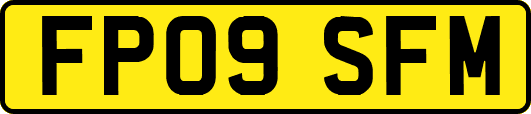 FP09SFM