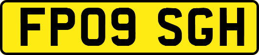 FP09SGH