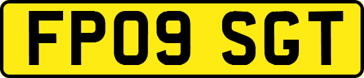 FP09SGT