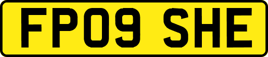 FP09SHE