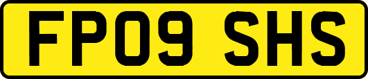 FP09SHS