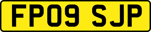 FP09SJP