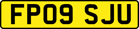 FP09SJU