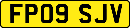 FP09SJV