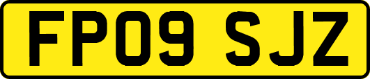FP09SJZ