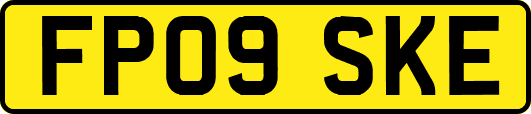 FP09SKE