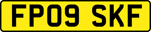 FP09SKF