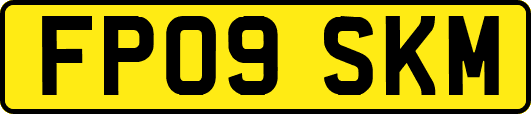 FP09SKM