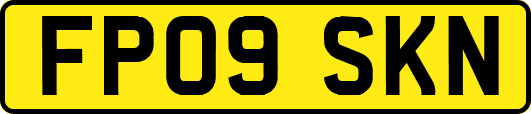 FP09SKN
