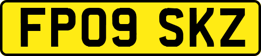 FP09SKZ