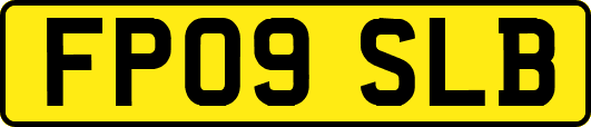 FP09SLB