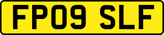 FP09SLF