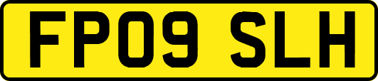 FP09SLH