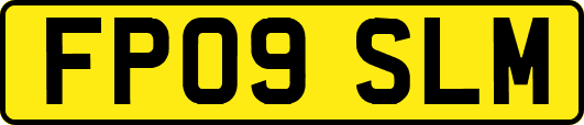 FP09SLM