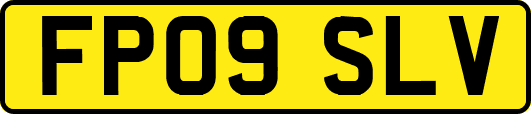 FP09SLV