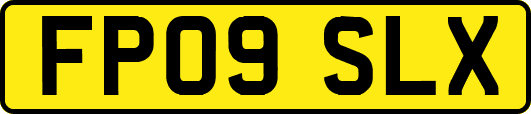 FP09SLX
