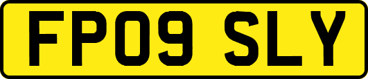 FP09SLY