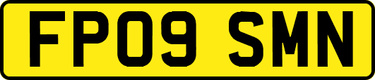 FP09SMN