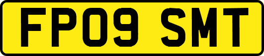 FP09SMT