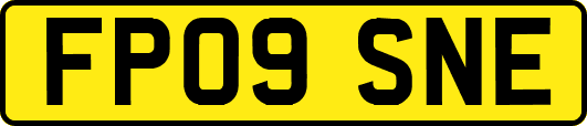 FP09SNE