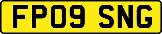 FP09SNG
