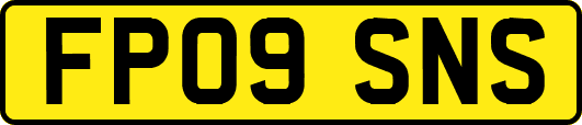 FP09SNS