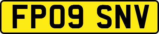 FP09SNV