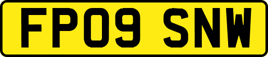 FP09SNW