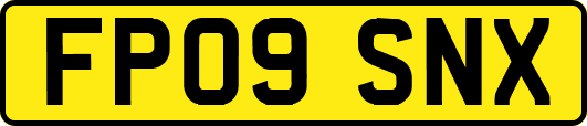 FP09SNX