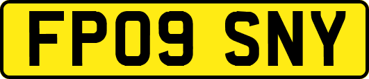 FP09SNY