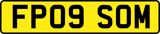 FP09SOM