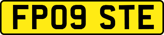 FP09STE