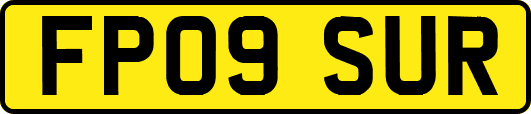 FP09SUR