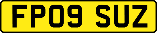 FP09SUZ