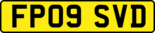 FP09SVD