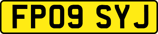 FP09SYJ