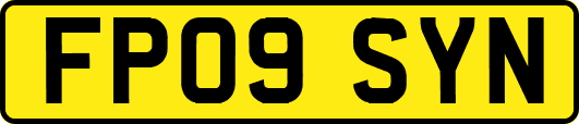 FP09SYN