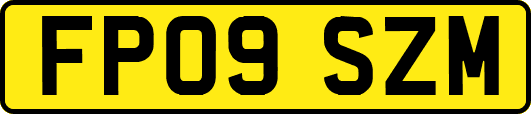 FP09SZM