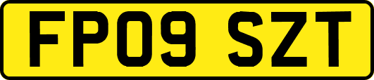 FP09SZT